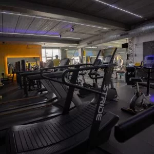 IMG 0494